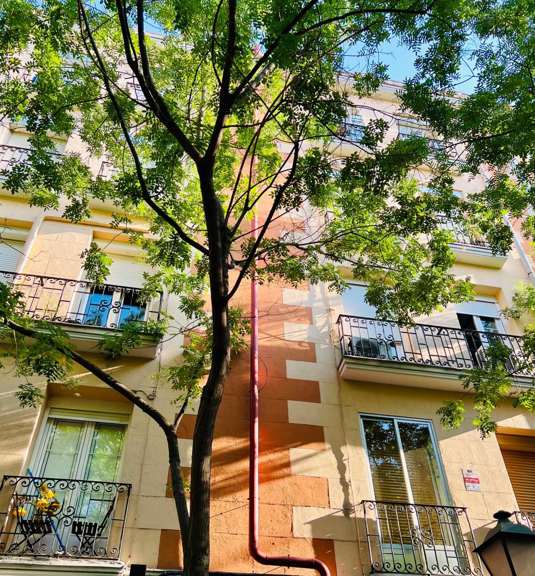 Atocha Cozy Home مدريد المظهر الخارجي الصورة